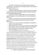 Referāts 'Ārējās tirdzniecības politikas principi un instrumenti mūsdienās', 7.