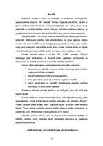 Prakses atskaite 'Mārketinga stratēģijas novērtējums restorānā', 3.