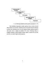 Prakses atskaite 'Mārketinga stratēģijas novērtējums restorānā', 6.