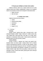 Prakses atskaite 'Mārketinga stratēģijas novērtējums restorānā', 8.