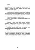 Prakses atskaite 'Mārketinga stratēģijas novērtējums restorānā', 9.