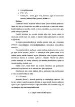 Prakses atskaite 'Mārketinga stratēģijas novērtējums restorānā', 11.