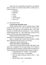 Prakses atskaite 'Mārketinga stratēģijas novērtējums restorānā', 12.