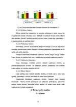 Prakses atskaite 'Mārketinga stratēģijas novērtējums restorānā', 15.