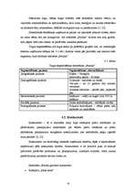 Prakses atskaite 'Mārketinga stratēģijas novērtējums restorānā', 16.