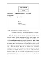 Diplomdarbs '"Seesam Insurance AS" Latvijas filiāles pakalpojumu analīze un darbības finansiā', 16.