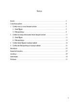 Referāts 'Cilvēka atveidojums tēlotājmākslā kā domāšanas sistēmas atspoguļotājs senajās ku', 2.