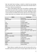 Referāts 'Cilvēka atveidojums tēlotājmākslā kā domāšanas sistēmas atspoguļotājs senajās ku', 19.