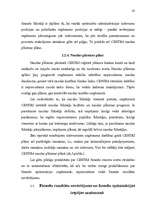 Diplomdarbs 'Uzņēmuma finansiālās darbības optimizācija', 39.