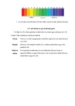 Referāts 'Saldēšanas ietekme uz dārzeņu un ogu kvalitāti', 10.