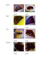 Referāts 'Saldēšanas ietekme uz dārzeņu un ogu kvalitāti', 28.