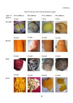 Referāts 'Saldēšanas ietekme uz dārzeņu un ogu kvalitāti', 29.