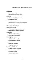 Referāts 'Ēdienu piegādes mājās pēc izsaukuma ieviešana restorānā "Kebabs Fix"', 11.