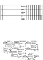 Referāts 'Ēdienu piegādes mājās pēc izsaukuma ieviešana restorānā "Kebabs Fix"', 16.