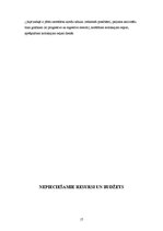 Referāts 'Ēdienu piegādes mājās pēc izsaukuma ieviešana restorānā "Kebabs Fix"', 17.