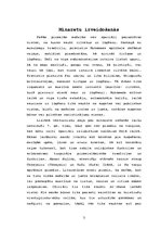 Referāts 'Minaretu arhitektūras vēsture', 3.