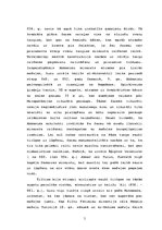 Referāts 'Minaretu arhitektūras vēsture', 5.