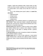 Konspekts 'Starptautiskā mārketinga vadīšana (menedžments)', 6.