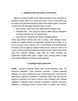 Referāts 'Investīciju kompāniju veidi un darbības mērķi', 5.