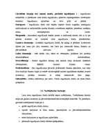 Referāts 'Investīciju kompāniju veidi un darbības mērķi', 6.