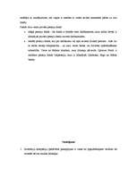 Referāts 'Investīciju kompāniju veidi un darbības mērķi', 17.