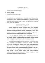 Referāts 'Elektriskā strāva gāzēs', 3.