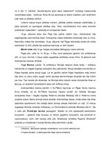 Referāts 'Arhitektūras stili Vecrīgā', 7.