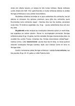 Referāts 'Arhitektūras stili Vecrīgā', 9.