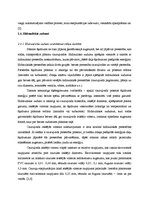 Diplomdarbs 'Dažāda tipa sūkņu izmantošana pilsētas ūdensapgādē', 31.