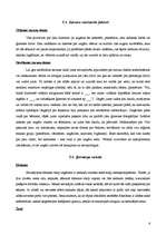 Referāts 'Biznesa kultūra Ungārijā', 6.