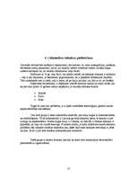 Referāts 'Jauna produkta virzīšana tirgū - celtniecības mašīnas un industriālā tehnika', 10.