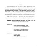 Referāts 'Gaismas avoti un to efektivitāte', 3.