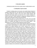 Referāts 'Gaismas avoti un to efektivitāte', 4.