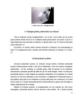 Referāts 'Gaismas avoti un to efektivitāte', 10.