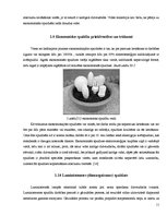 Referāts 'Gaismas avoti un to efektivitāte', 11.