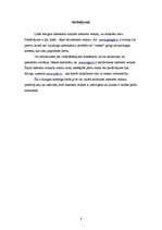 Konspekts 'Trīs intreneta veikalu salīdzināšana', 8.