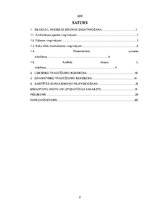 Prezentācija 'Valodas sistēmas nepietiekamas attīstības teorētiskais aspekts un korekcijas met', 2.