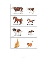 Prezentācija 'Valodas sistēmas nepietiekamas attīstības teorētiskais aspekts un korekcijas met', 25.