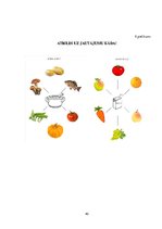 Prezentācija 'Valodas sistēmas nepietiekamas attīstības teorētiskais aspekts un korekcijas met', 40.