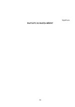 Prezentācija 'Valodas sistēmas nepietiekamas attīstības teorētiskais aspekts un korekcijas met', 53.