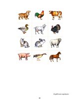 Prezentācija 'Valodas sistēmas nepietiekamas attīstības teorētiskais aspekts un korekcijas met', 65.