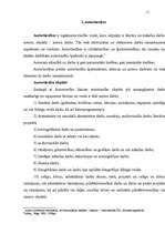 Diplomdarbs 'Civiltiesiskā atbildība par autortiesību un blakustiesību pārkāpumiem', 5.