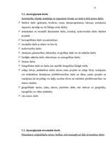 Diplomdarbs 'Civiltiesiskā atbildība par autortiesību un blakustiesību pārkāpumiem', 15.