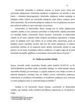 Diplomdarbs 'Civiltiesiskā atbildība par autortiesību un blakustiesību pārkāpumiem', 17.