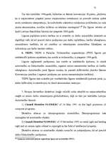 Diplomdarbs 'Civiltiesiskā atbildība par autortiesību un blakustiesību pārkāpumiem', 66.