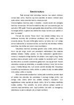 Referāts 'Viduslaiku sakrālās un laicīgās kultūras pasākumu daudzveidības atspoguļojums', 5.