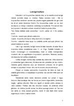 Referāts 'Viduslaiku sakrālās un laicīgās kultūras pasākumu daudzveidības atspoguļojums', 7.