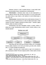 Referāts 'Uzņēmuma bilance. Ierosinājumi', 2.