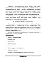Referāts 'Uzņēmuma bilance. Ierosinājumi', 7.