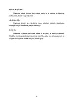 Referāts 'Uzņēmuma bilance. Ierosinājumi', 10.